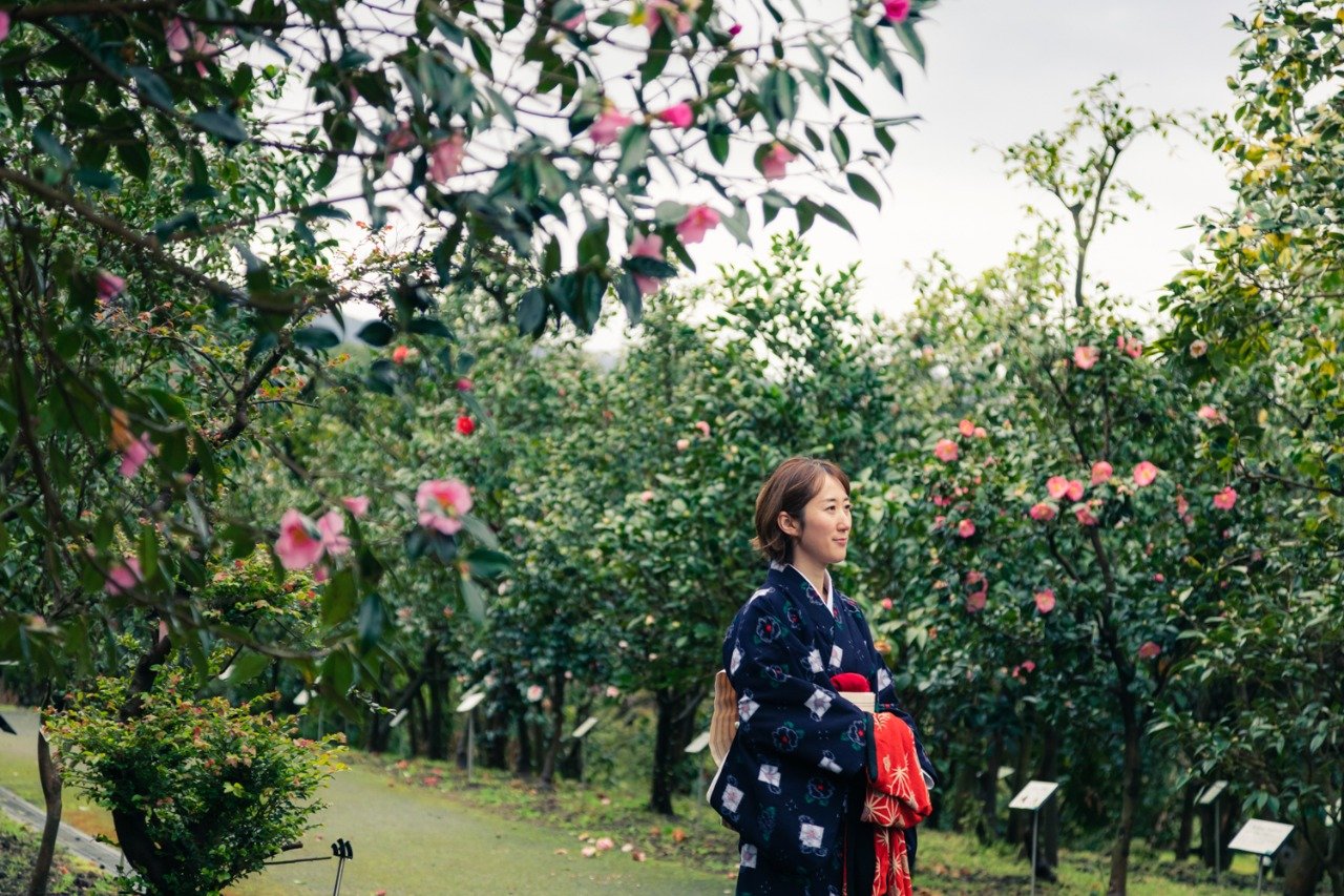 🏛️ 이시바시 문화센터 이미지 11